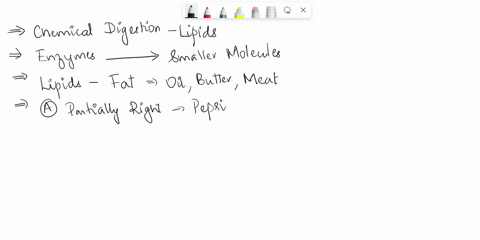 which-correctly-describes-chemical-digestion-of-lipidsa-in-the-stomach-fats-are-digested-by-pepsin-into-fatty-acids-and-monoglyceridesb-in-the-small-intestine-fats-are-digested-by-pancreatic-69298