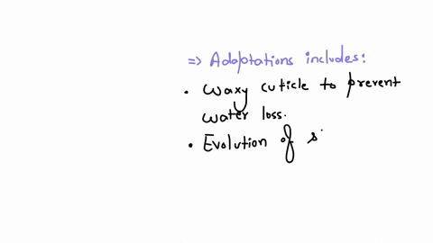 what-are-the-general-evolutionary-trends-and-adaptations-that-allowed-plants-to-adapt-to-a-terrestrial-environment-86495