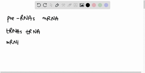different-answer-a-are-made-from-the-same-initial-answer-b-by-alternative-splicing-answer-a-options-answer-b-options-pre-rnas-mrna-trnas-trna-mrnas-pre-rna-43195