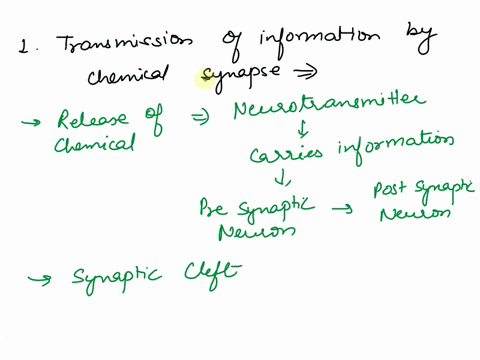 1-how-do-chemical-synapse-transmit-information-2-which-two-kinds-of-glial-cell-can-form-myelin-sheath-describing-their-structure-69667