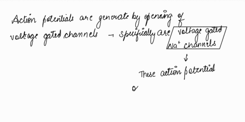 action-potentials-are-generated-by-the-opening-of-________-gated-channels-and-they-occur-on-the-________-58256