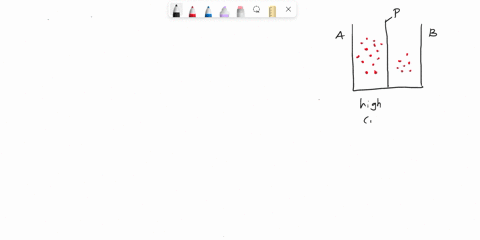 question-2-the-movement-of-gases-across-the-membrane-is-by-which-gases-move-their-concentration-gradients-not-yet-answered-marked-out-o-800-flag-question-transporters-active-diffusion-energy-76022