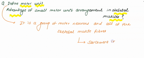 define-a-motor-unit-of-what-physiological-advantage-is-a-small-motor-unit-arrangement-in-skeletal-muscle-21511