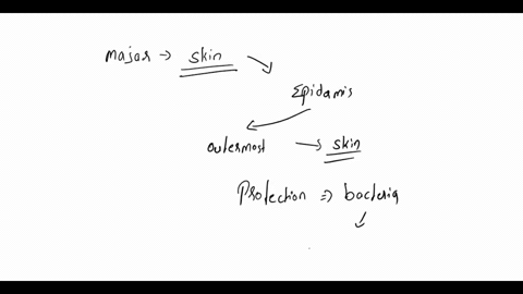 which-layer-comprises-the_majorlty-of-skin-explain-how-you-came-t0-your-conclusion-using-your-knowledge-of-skin-components-and-functions-whal-component-of-the-subcutaneous-layer-provides-pro-79406