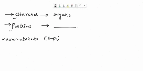 starches-are-to-simple-sugars-as-proteins-are-53816