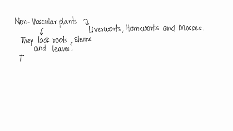 nonvascular-plants-lack-which-of-the-following-structures-true-roots-chloroplasts-and-stems-true-roots-phloem-and-xylem-true-roots-xylem-and-cell-walls-true-roots-cell-membranes-and-flowers-38317