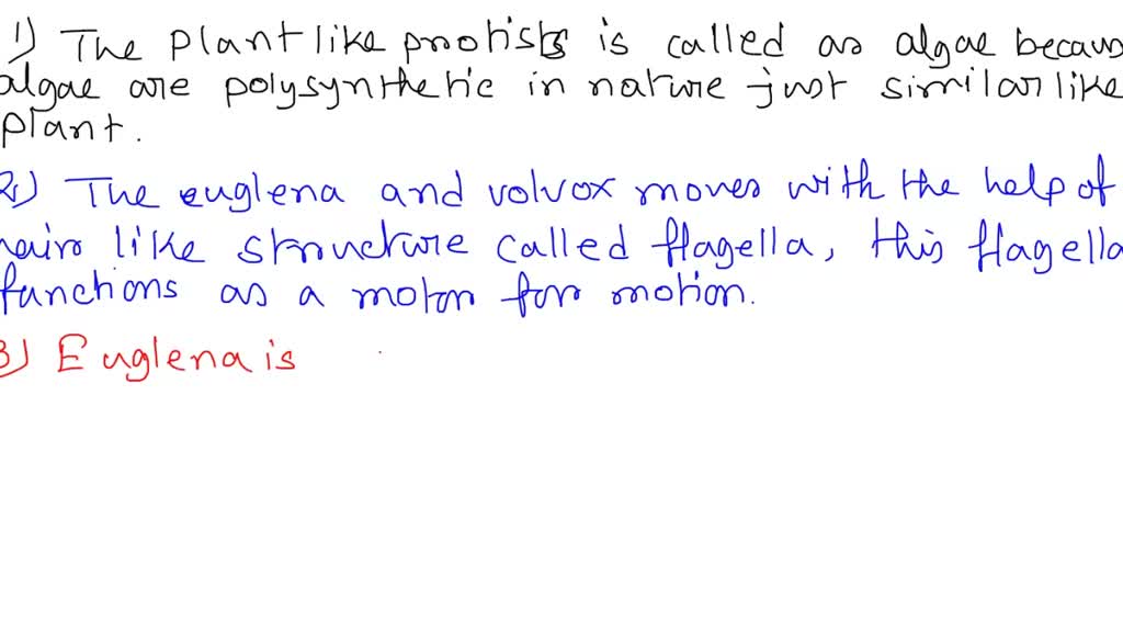 SOLVED What Is Coelom What Advantages Does It Confer Why Is