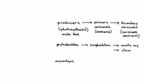 below-is-a-food-web-from-a-coral-reef-ecosystem-off-the-coast-of-the-marshall-islands-in-the-pacific-ocean-which-organisms-are-secondary-consumers-in-this-food-web-select-all-that-apply