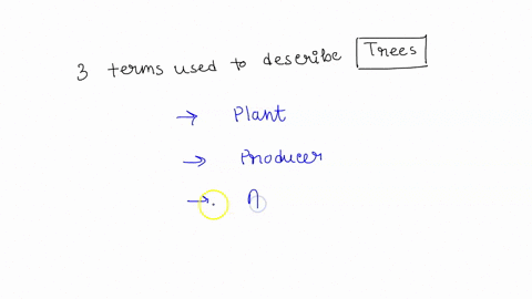 what-are-three-terms-used-describe-organisms-such-as-trees-01411