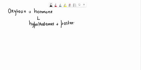 question-43-which-of-the-following-hormones-stimulates-uterine-contractions-during-childbirth-and-helps-release-mild-from-the-milk-ducts-of-nursing-mothers-thyroxine-oxytocin-cortisol-d-gluc-11745