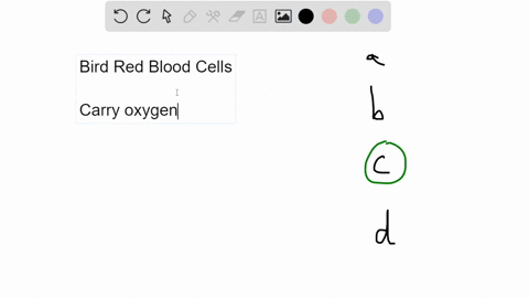 the-red-blood-cells-of-birds-differ-from-mammalian-red-blood-cells-because-a-they-are-white-and-have-44168