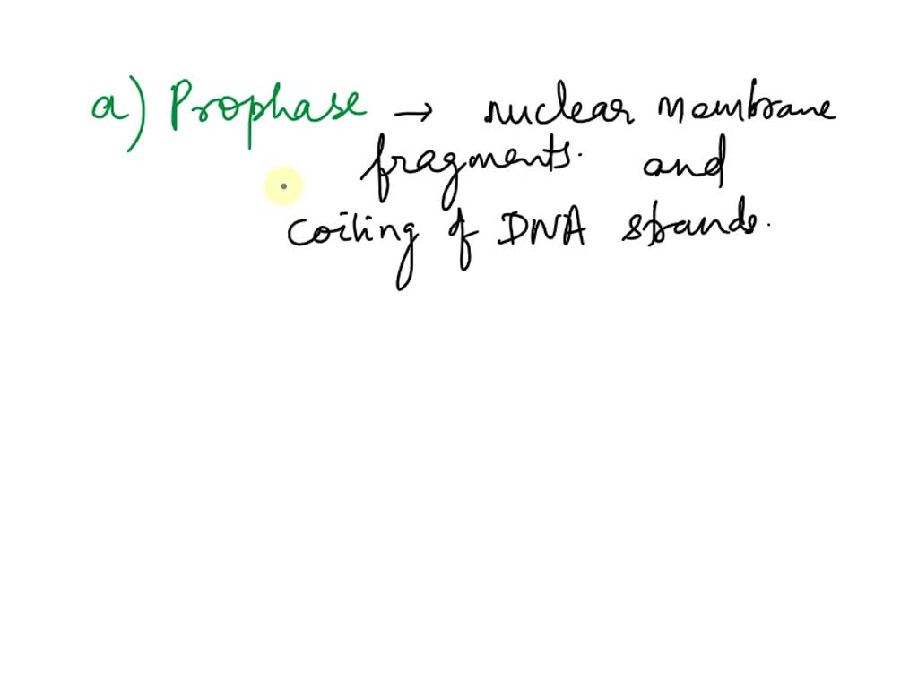 SOLVED 'When the nuclear membrane fragments and the DNA coils into