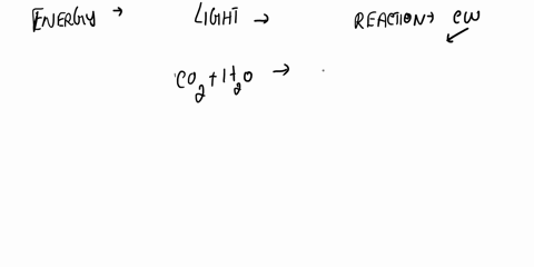 the-process-of-carbohydrate-digestion-begins-when-the-complex-carbohydrate-starch-is-broken-down-into-maltose-which-enzyme-breaks-these-down-into-monomers-and-where-are-they-found-49018