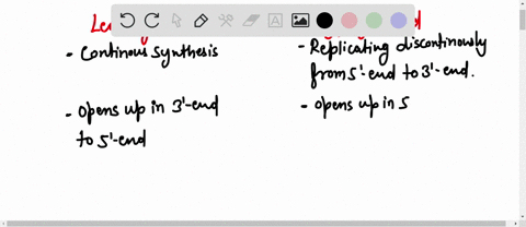 compare-and-contrast-leading-strand-vs-lagging-strand-synthesis-of-dna-how-are-these-processes-similar-and-how-are-they-different-why-are-there-two-processes-at-all-52604