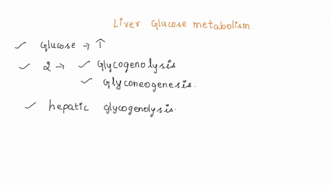 1-what-happens-to-the-rate-of-liver-glucose-metabolism-during-moderate-intensity-exercise-2-would-the-use-of-ph-buffers-help-prevent-muscle-fatigue-during-exercise-3-what-happens-to-amylose-20524