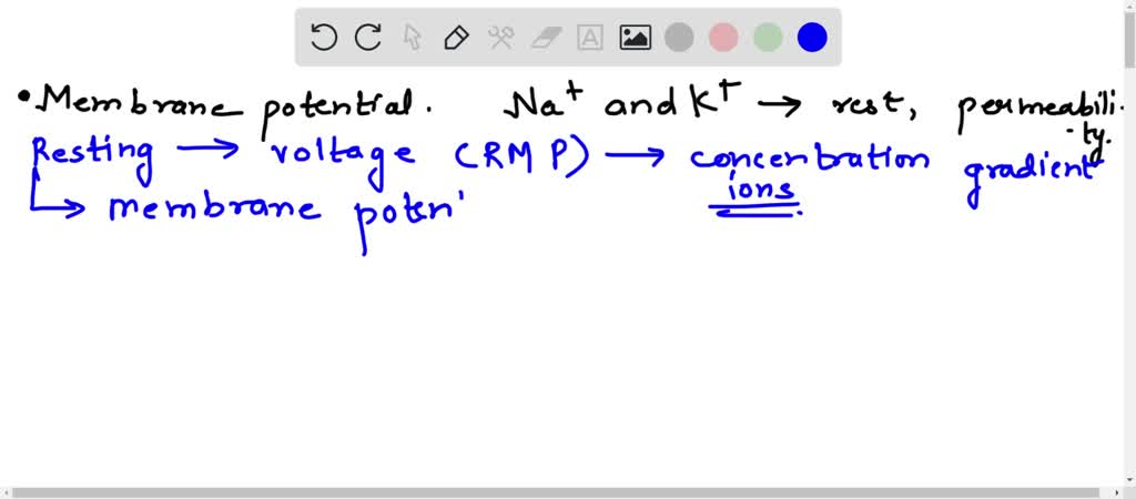 Na+ Ions Are Continuously Forced Into Neurons By