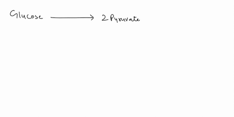 oxygen-is-the-final-electron-acceptor-of-the-electron-transport-chain-in-the-final-step-of-cellular-respiration-oxygen-combines-with-electrons-and-hydrogen-ions-to-produce-water-respiration-37153