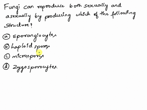 fungi-can-reproduce-both-sexually-and-asexually-by-producing-which-of-the-following-structures-sporangiocytes-haploid-spores-microspores-zygosporocytes-86455