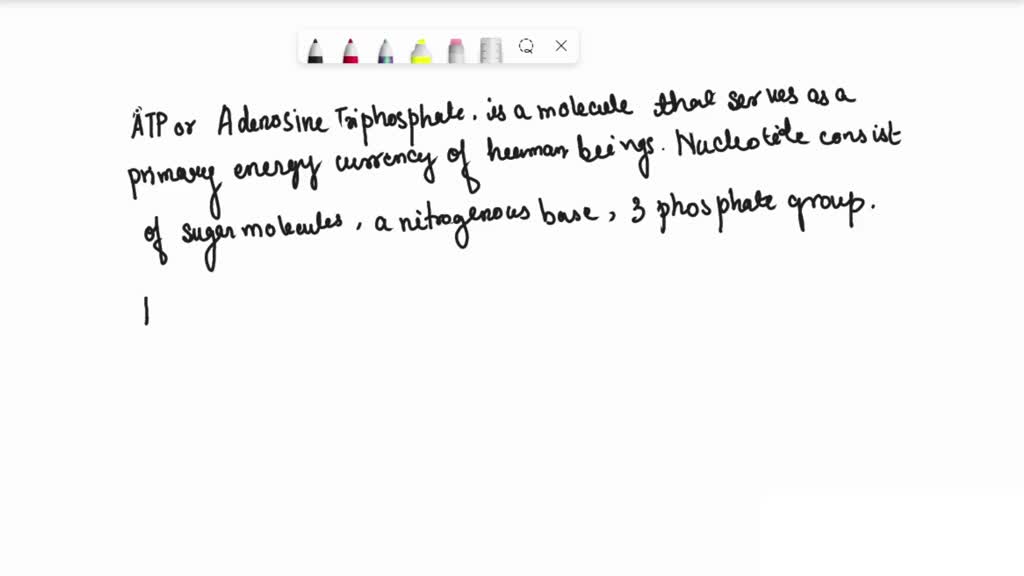 solved-what-is-atp-and-what-purpose-does-it-serve-in-the-human-body