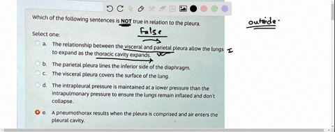 question-58-not-yet-answered-marked-out-of100-f-flag-question-which-of-the-following-sentences-is-not-true-in-relation-to-the-pleura-select-one-the-relationship-between-the-visceral-and-pari-78526