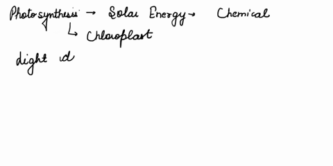 outline-the-path-of-energy-from-sun-to-atp-in-photosynthesis-and-respiration-17585
