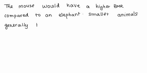 2-which-of-theses-animals-would-have-a-higher-bmr-a-mouse-or-an-elephant-and-why-63507