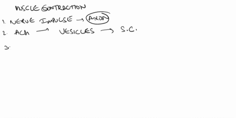place-the-following-steps-of-skeletal-muscle-contraction-in-the-correct-order-you-may-answer-by-listing-them-or-providing-the-corresponding-numbers-1calcium-ions-bind-to-troponin-exposing-my-53712