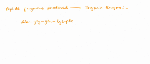chymotrypsin-cleavage-trypsin-cleavage-hn-ala-phe-ser-lys-arg-gly-leu-cooh-figure-3-specificity-of-protease-cleavage-based-on-the-above-if-the-following-peptide-is-cleaved-by-trypsin-what-am-23764