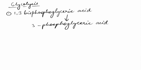 glycolysis-said-produce-net-atp-because-atp-is-first-used-t0-row-phosphonlate_elucose-phosphon-atoglucose-nducenad-reducenad-50-when-east-cells-experience-anaerobic-conditions-they-will-use-71846