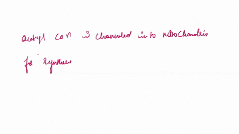 queston-31-accumulation-of-acetyl-coa-in-the-mitochondria-ol-the-liver-may-lead-to-the-formation-of-ketone-bodies_-not-yel-answered-marked-out-of-loo-select-one-flag-question-0-true-0false-q-50024