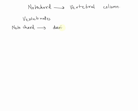 in-adult-humans-the-notochord-is-replaced-by-the-vertebral-column-select-one-true-false-44772