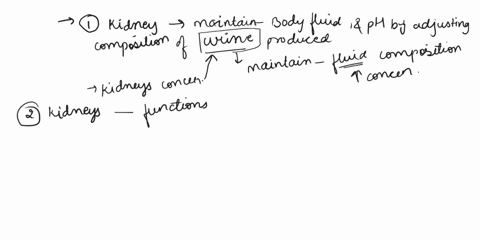 complete-the-sentences-describing-the-functions-of-the-kidneys-renin-vitamin-c-aldosterone-erythropoietin-thrombopoletin-urine-vitamin-d-the-kidneys-function-to-maintain-normal-body-fluid-co-06081