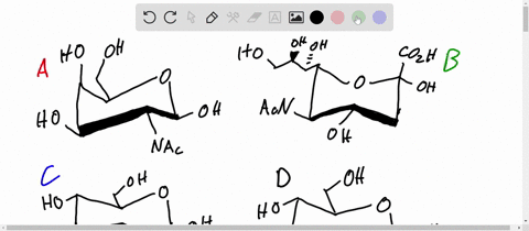 sce-hint-which-of-the-following-monosaccharides-when-connected-by-a8-14-glycosidic-bondmake-up-the-repeating-unit-tound-peptidoglycan-chains-bacterial-chicseone0r-more-coh-cooh-51921