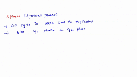 what-is-the-mechanism-that-ensures-that-dna-is-only-replicated-once-in-s-phase-28001