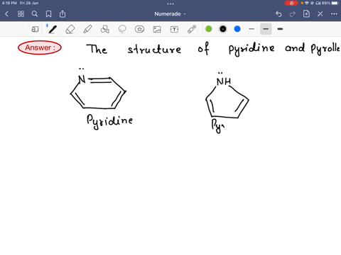 both-pyridine-and-pyrolle-are-aromatic-however-pyridine-is-a-modest-base-while-pyrolle-is-not-because-lone-pair-of-electrons-on-n-in-pyridine-do-not-engage-with-the-remaining-pi-bonds-lone-p-81146