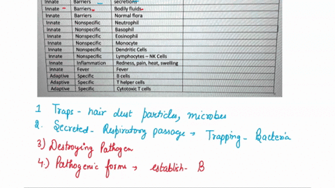 innate-and-adaptive-immunity-graphic-organizer-please-take-the-time-to-really-detail-how-these-parts-of-the-immune-system-work-it-will-help-you-learn-and-understand-these-different-parts-and-87742