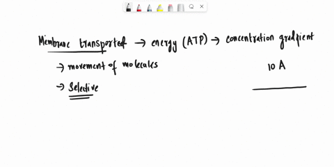 what-are-two-similarities-between-active-and-passive-transport-37492