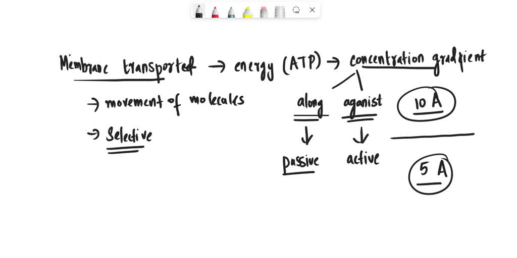 solved-2-examples-of-passive-transport-during-an-action-potential