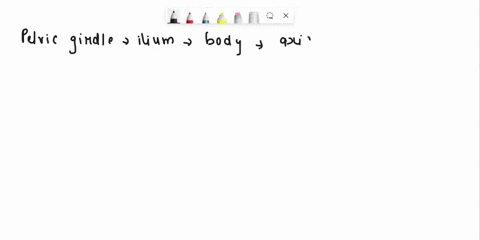qw-fuh-fuuh-mhl-0-heol-biom2oo02-iliun-ast-s-adsl-6-_-label-the-failowing-featurs-onkhe-lower-limb-bones-pelvic-girdle-oliwaul-m-anterior-superior-iliac-spine-ilium-ischium-pubis-ischial-tub-28182