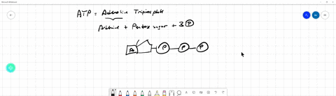 how-does-atp-supply-energy-to-chemical-reactions-a-atp-dissociates-and-the-energy-released-by-breaking-of-a-phosphate-bond-within-atp-is-used-for-phosphorylation-of-another-molecule-atp-hydrolysis-a-2