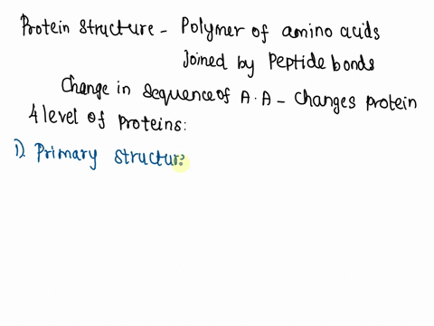 what-are-the-four-levels-of-structural-organization-of-a-protein-67985