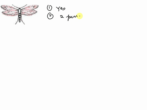 please-help-last-question-can-get-wrong-or-i-wont-pass1-does-the-insect-have-wings-yes-go-to-2-no-go-to-6-2-how-many-pairs-of-wings-does-the-insect-have-one-order-diptera-two-go-to-3-3-does-78183