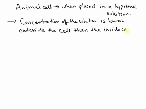 what-happens-to-an-animal-cell-when-placed-in-a-hypotonic-solution-2-pts-99756