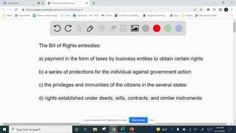 the-bill-of-rights-embodiesa-payment-in-the-form-of-taxes-by-business-entities-to-obtain-certain-rightsb-a-series-of-protections-for-the-individual-against-government-actionc-the-privileges-16974