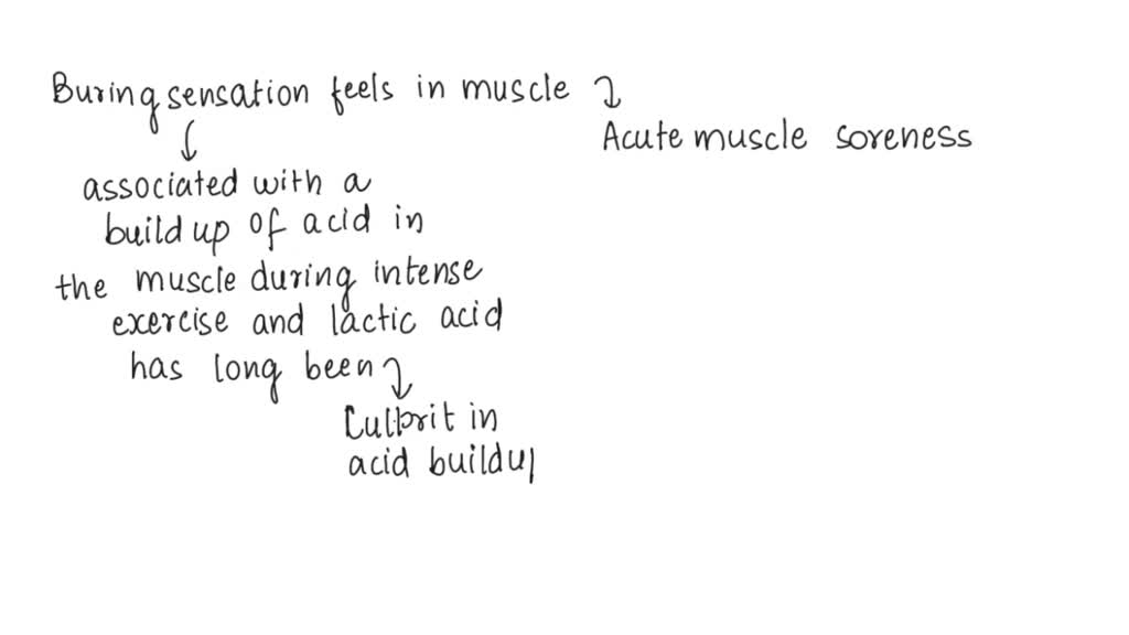 solved-which-substance-can-cause-a-burning-sensation-in-muscles-that