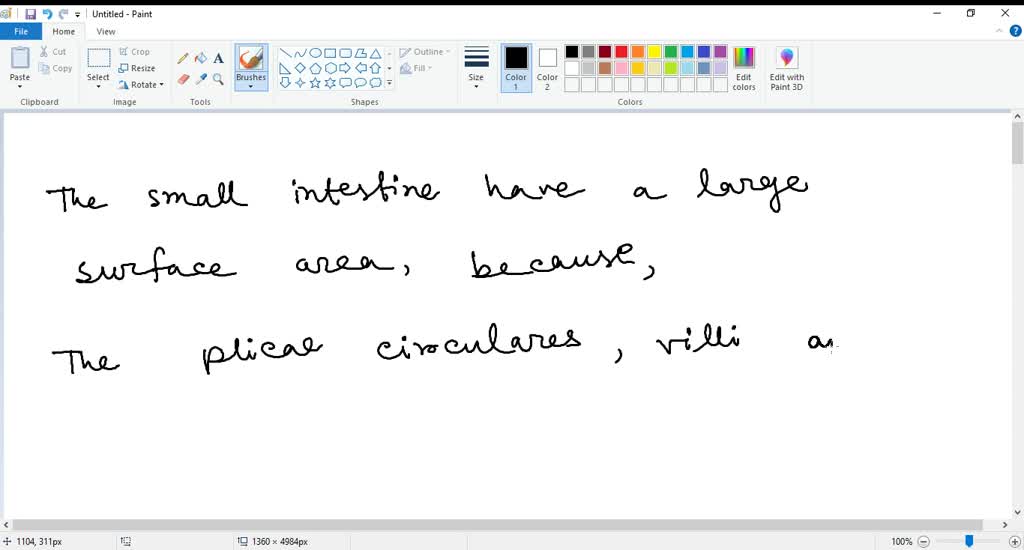 SOLVED Why does the small intestine have a surface area nearly equal