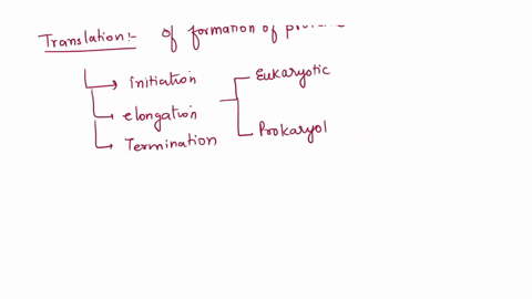 which-of-the-following-events-occur-during-eukaryotic-translation-initiation-select-all-that-apply-group-of-answer-choices-a-gtp-bound-to-ef-g-is-hydrolyzed-to-gdp-b-a-helicase-eliminates-se-71335