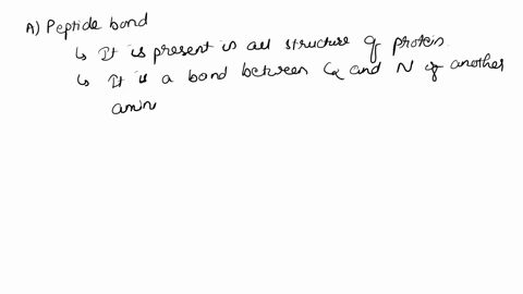what-maintains-the-secondary-structure-of-a-protein-a-peptide-bonds-b-hydrogen-bonds-c-ionic-bonds-d-phosphodiester-bonds-56907