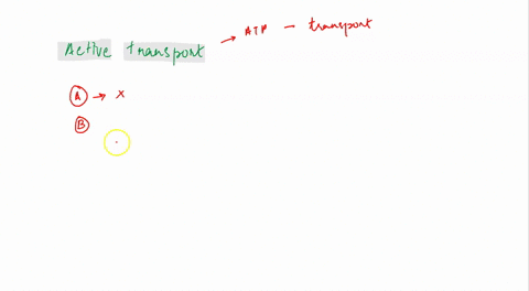 which-of-the-following-describes-an-example-of-molecular-movement-across-a-membrane-through-active-transport-o-channel-proteins-bind-with-extracellular-solutes-and-release-them-inside-the-ce-51895