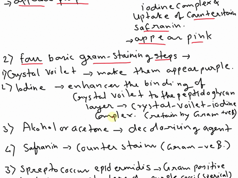 1-explain-how-the-differences-in-cell-wall-structures-of-gram-positive-and-gram-negative-bacteria-cause-them-to-stain-differently-with-the-gram-stain2-describe-the-purpose-of-each-of-the-fou-34353